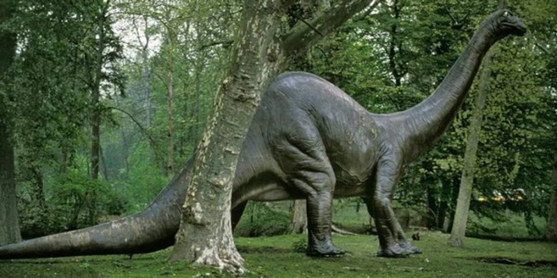 Рідкісна знахідка. В Іспанії виявили останки гігантського динозавра