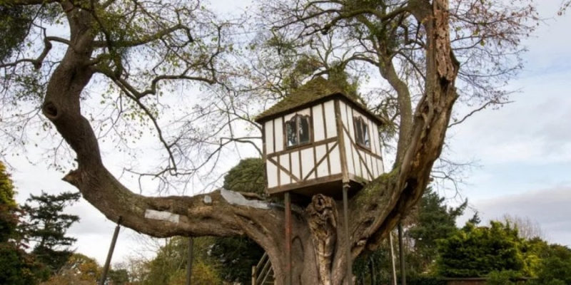 У Великій Британії показали найстаріший у світі будиночок на дереві. Його відвідувала королева Вікторія